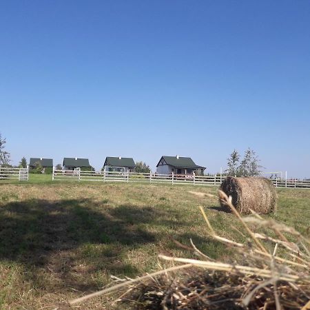 Letnisko Nad Jeziorem Skulsk ภายนอก รูปภาพ