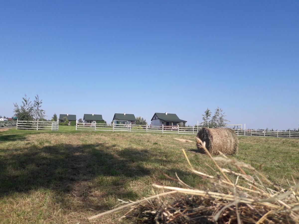 Letnisko Nad Jeziorem Skulsk ภายนอก รูปภาพ